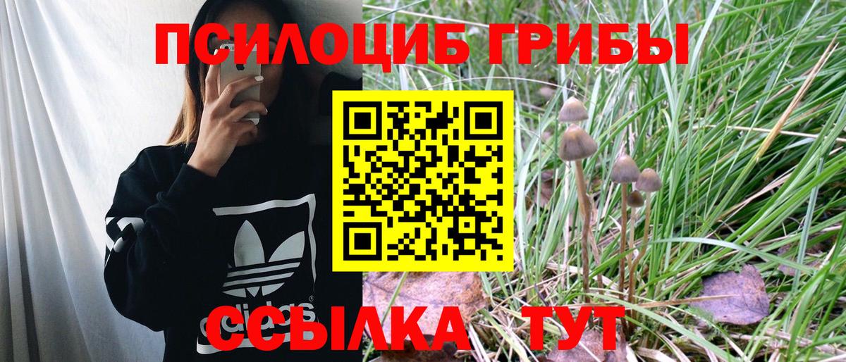 Сыктывкар  Галлюциногенные грибы Psilocybe  Вход с VPN  Галлюциногенные грибы мухоморы 